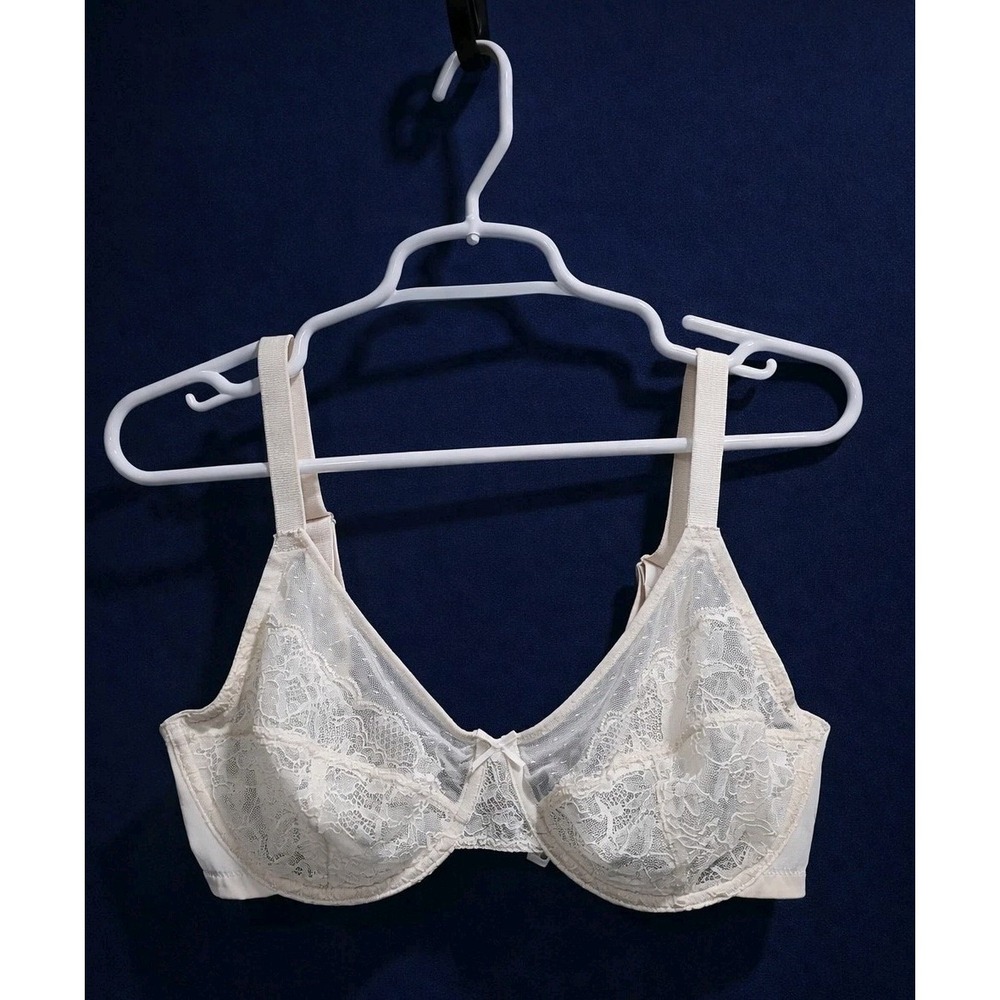 HSIA 36D White Lace Underwire Bra Sheer Mesh Unlined Full Coverage